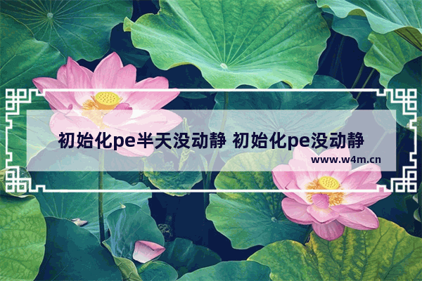 初始化pe半天没动静 初始化pe没动静