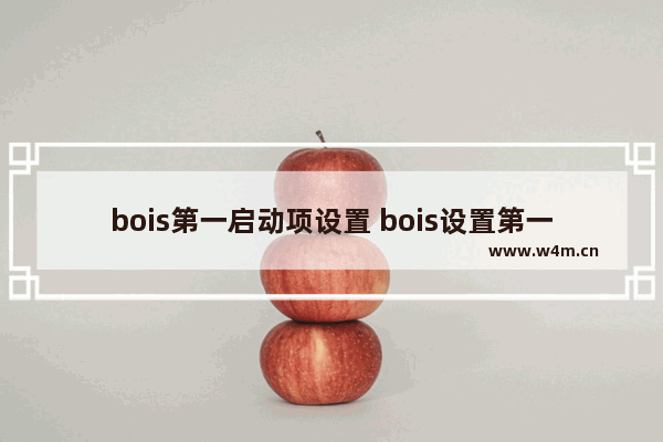 bois第一启动项设置 bois设置第一启动项教程