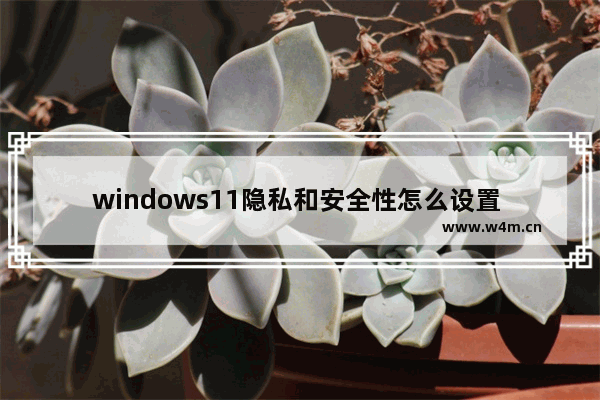 windows11隐私和安全性怎么设置 windows11开启隐私和安全性功能方法分享