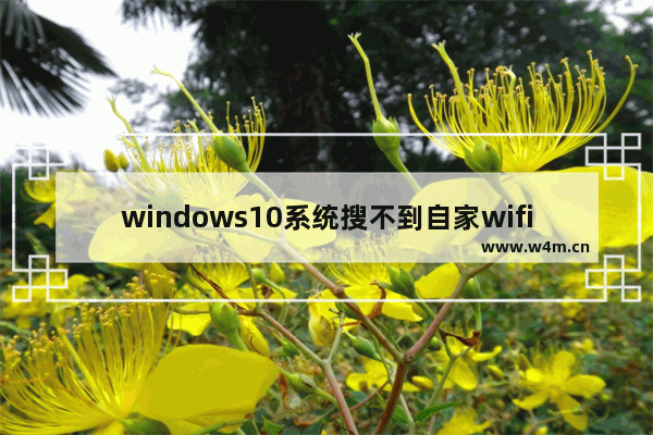 windows10系统搜不到自家wifi windows10找不到自家的wifi