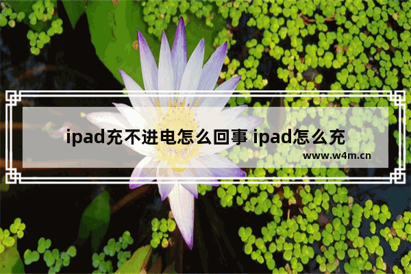 ipad充不进电怎么回事 ipad怎么充不进去电