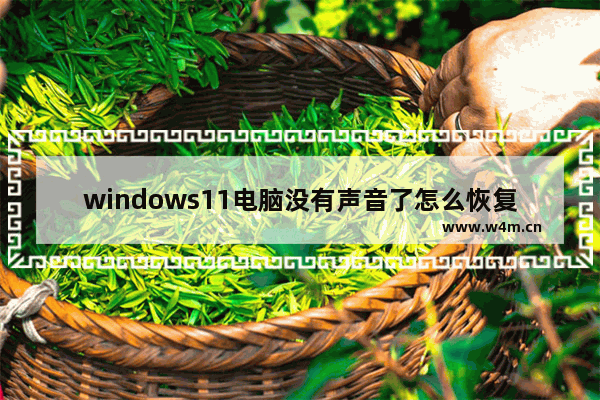 windows11电脑没有声音了怎么恢复 windows11一切正常就是没声音解决教程