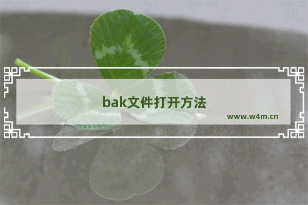 bak文件打开方法