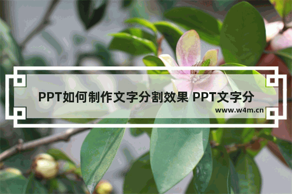 PPT如何制作文字分割效果 PPT文字分割效果制作教程