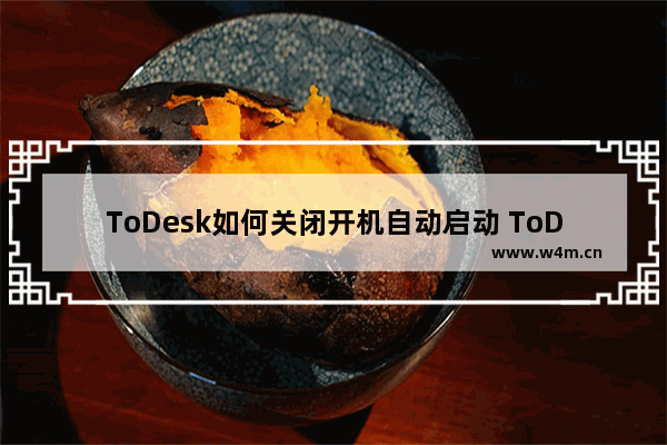 ToDesk如何关闭开机自动启动 ToDesk关闭开机自动启动方法