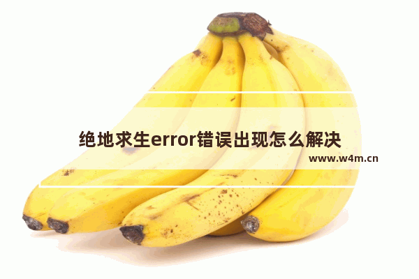 绝地求生error错误出现怎么解决