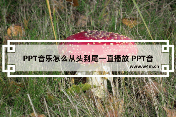 PPT音乐怎么从头到尾一直播放 PPT音乐从头到尾一直播放方法