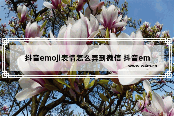 抖音emoji表情怎么弄到微信 抖音emoji表情弄到微信操作教学