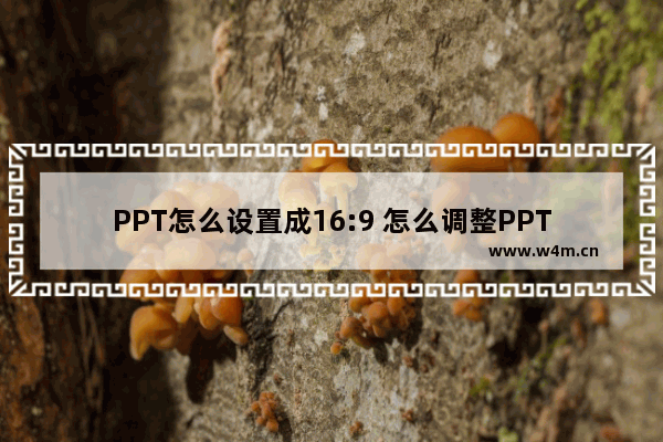 PPT怎么设置成16:9 怎么调整PPT页面比例为16:9