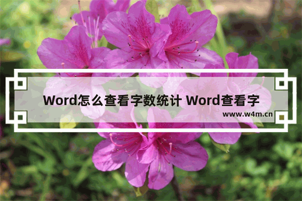 Word怎么查看字数统计 Word查看字数统计的方法