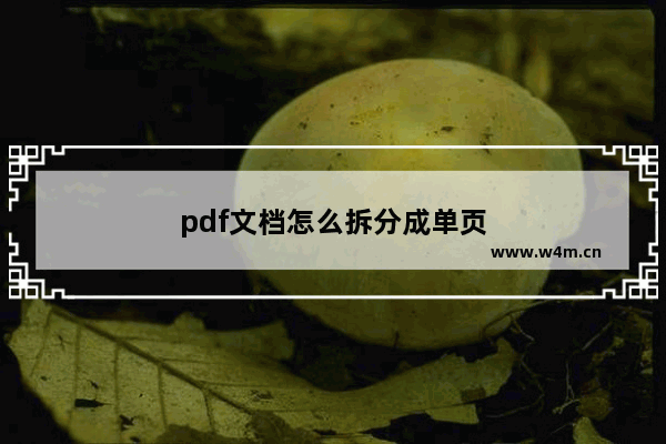 pdf文档怎么拆分成单页