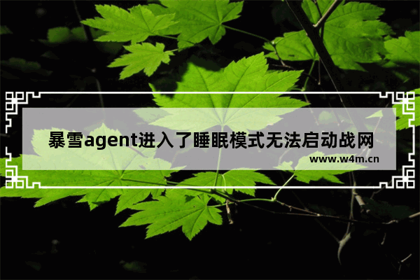 暴雪agent进入了睡眠模式无法启动战网