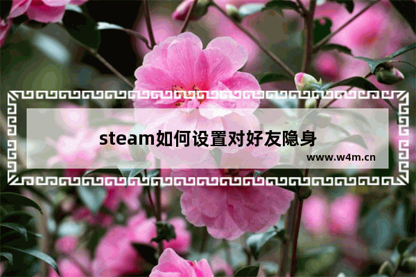 steam如何设置对好友隐身