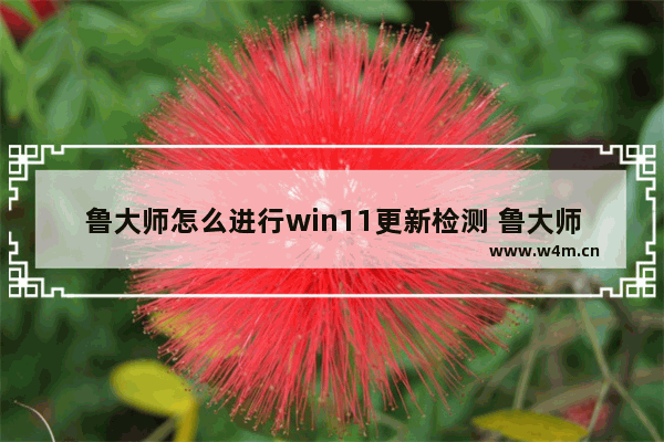 鲁大师怎么进行win11更新检测 鲁大师进行win11更新检测方法