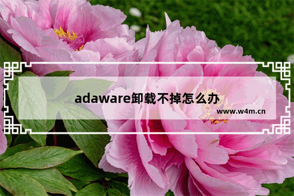 adaware卸载不掉怎么办