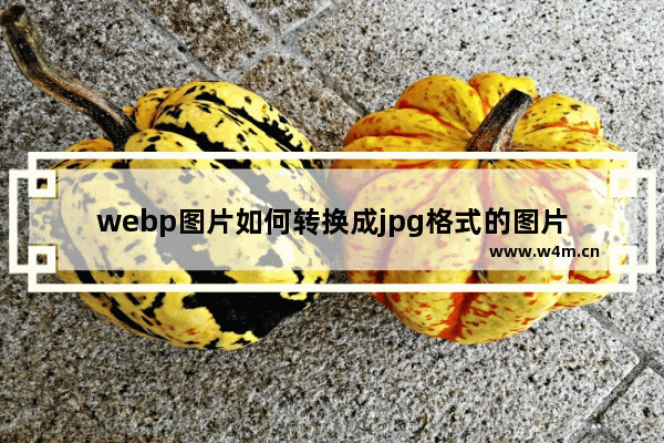 webp图片如何转换成jpg格式的图片