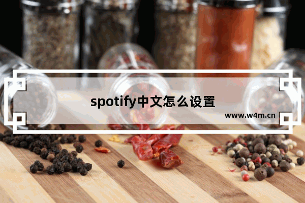 spotify中文怎么设置