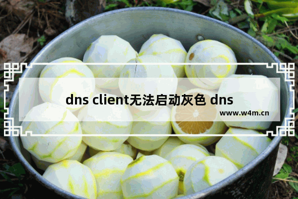 dns client无法启动灰色 dns client 启动是灰色的