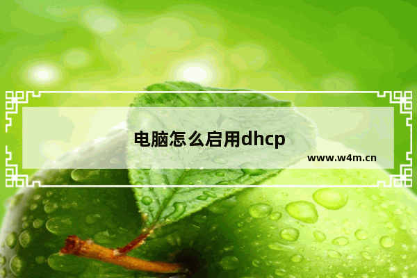 电脑怎么启用dhcp