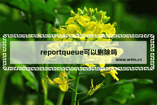 reportqueue可以删除吗