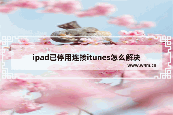 ipad已停用连接itunes怎么解决