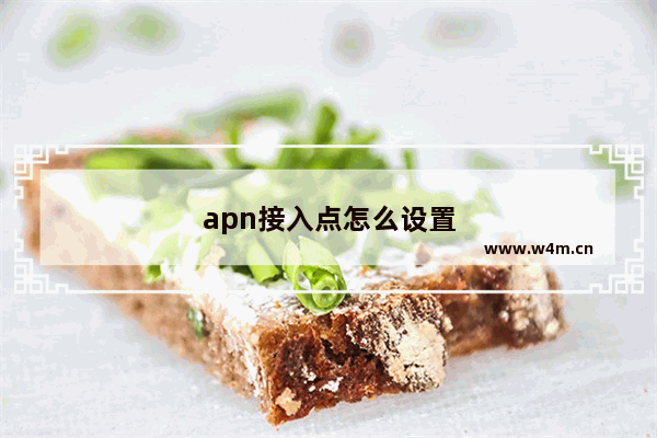 apn接入点怎么设置