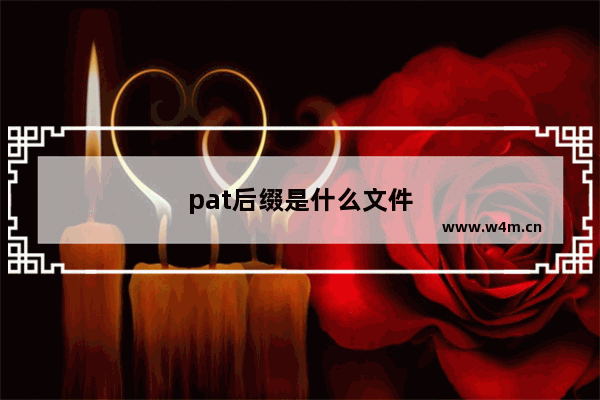 pat后缀是什么文件