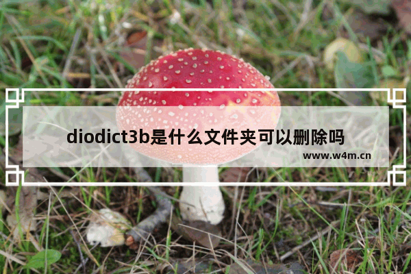 diodict3b是什么文件夹可以删除吗