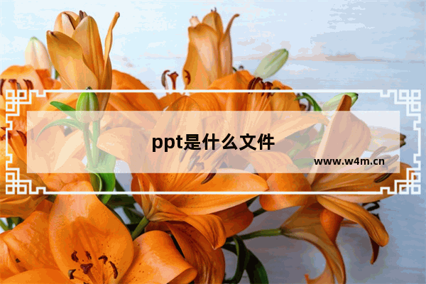 ppt是什么文件