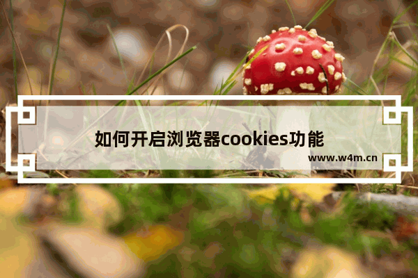 如何开启浏览器cookies功能