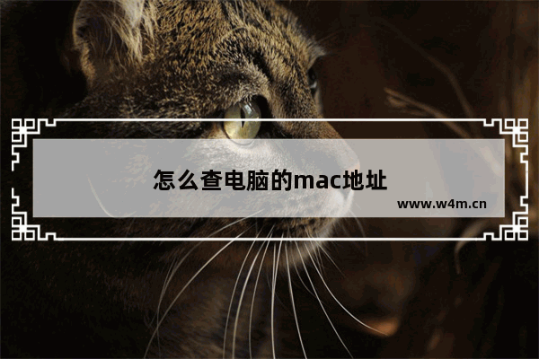 怎么查电脑的mac地址