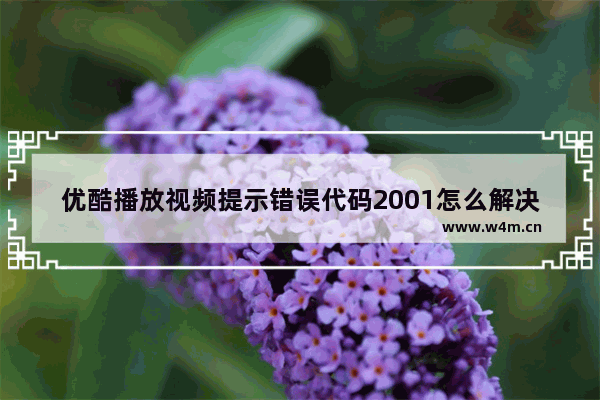 优酷播放视频提示错误代码2001怎么解决