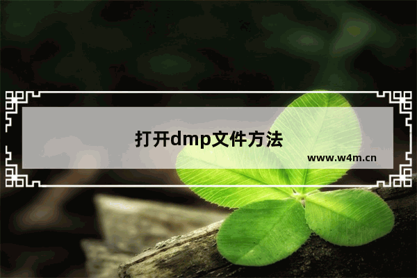 打开dmp文件方法