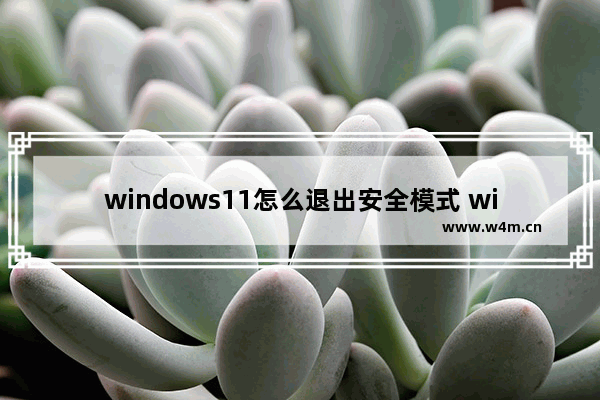 windows11怎么退出安全模式 windows11退出安全模式教程