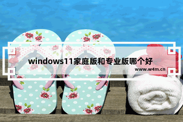 windows11家庭版和专业版哪个好 windows11家庭版和专业版有什么区别