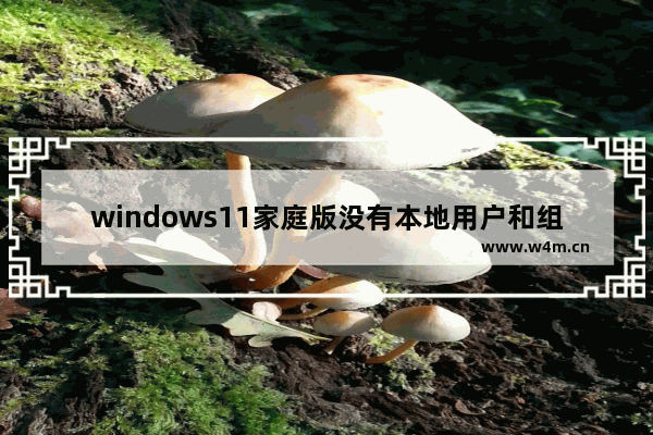 windows11家庭版没有本地用户和组怎么办 windows11家庭版没有本地用户和组解决办法