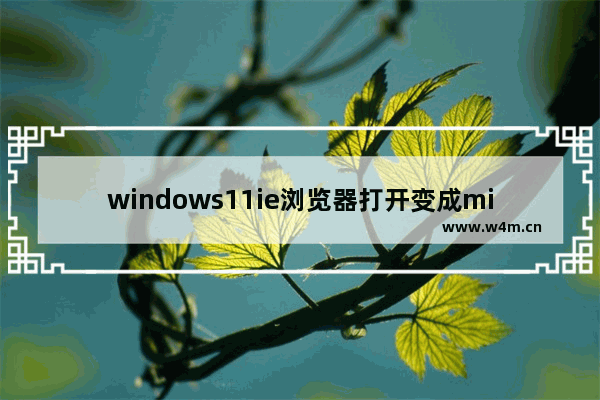 windows11ie浏览器打开变成microsoftedge怎么办 windows11ie浏览器打开变成microsoftedge解决办法