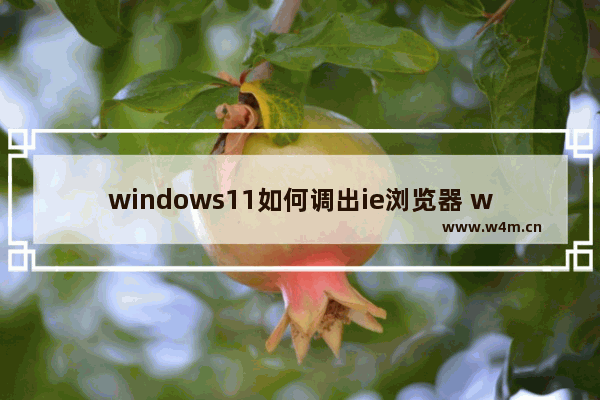 windows11如何调出ie浏览器 windows11调出ie浏览器教程