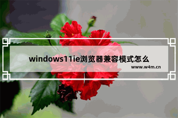 windows11ie浏览器兼容模式怎么设置 windows11ie浏览器兼容模式设置方法