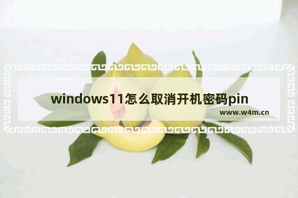 windows11怎么取消开机密码pin windows11取消开机密码pin教程