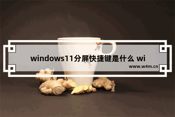 windows11分屏快捷键是什么 windows11分屏快捷键介绍