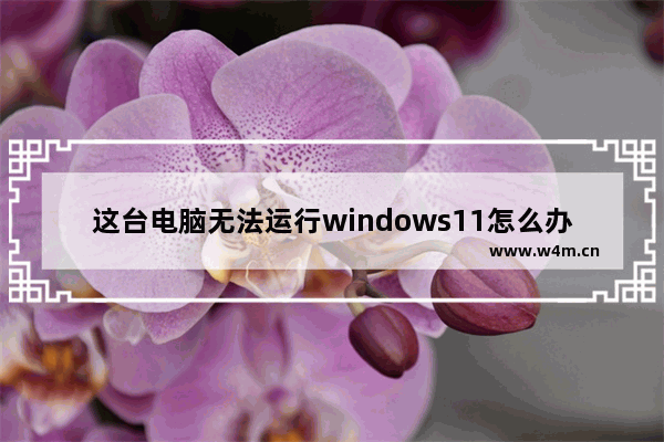 这台电脑无法运行windows11怎么办 这台电脑无法运行windows11解决办法