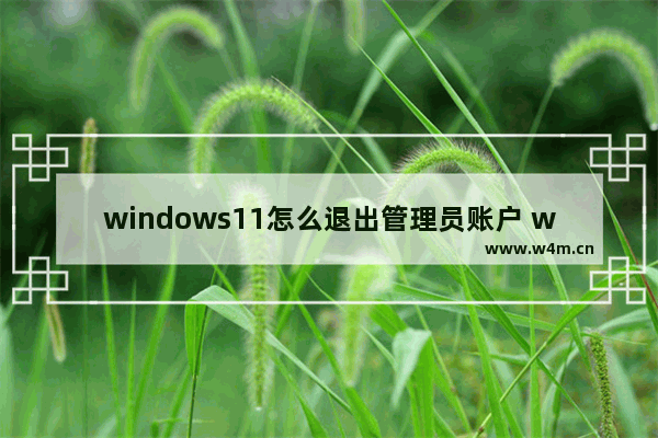 windows11怎么退出管理员账户 windows11退出管理员账户方法