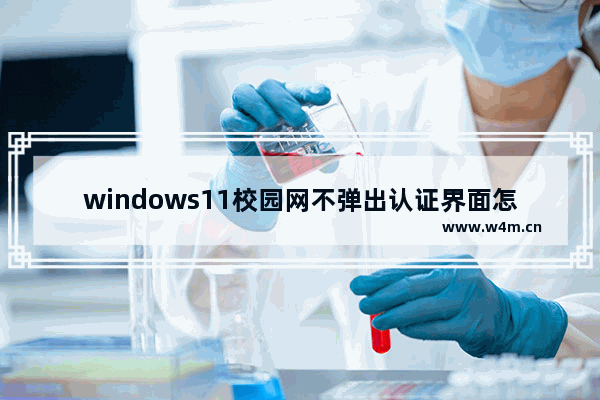 windows11校园网不弹出认证界面怎么办 windows11校园网不弹出认证界面解决办法