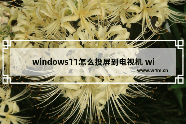 windows11怎么投屏到电视机 windows11投屏到电视机教程