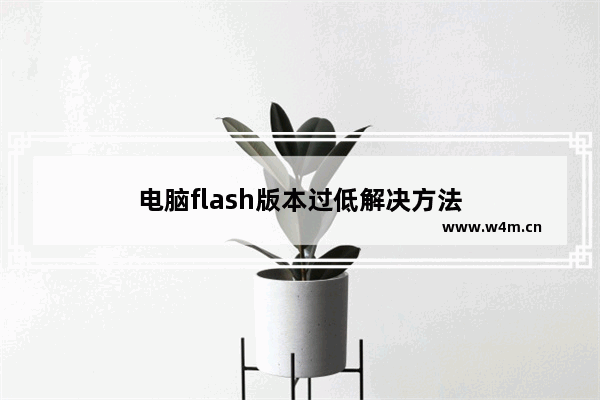 电脑flash版本过低解决方法