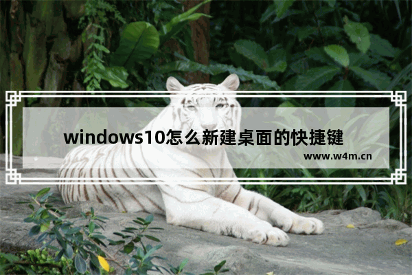 windows10怎么新建桌面的快捷键 新建桌面快捷键windows10分享