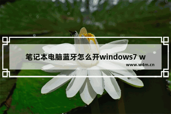 笔记本电脑蓝牙怎么开windows7 windows7笔记本怎么开蓝牙连接