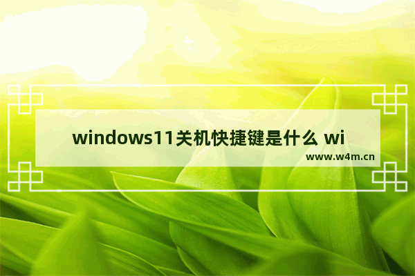 windows11关机快捷键是什么 windows11关机快捷键介绍