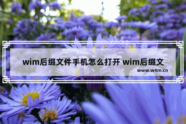 wim后缀文件手机怎么打开 wim后缀文件手机打开